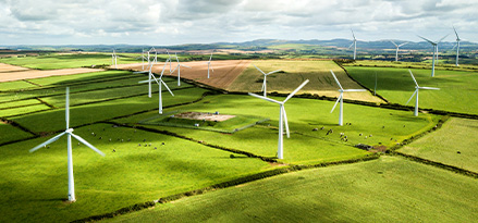 Turbine eoliche in campi erbosi
