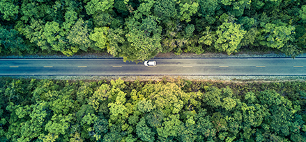 car driving down forest road